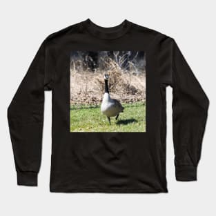 Canada Geese Long Sleeve T-Shirt